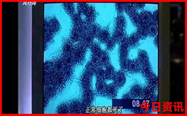 东方绿洲十大必去景点